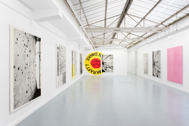 Adam McEwen, Rehabilitating the Steinway Tube Ducts, exhibition view, Galerie Rodolphe Janssen, Brussels